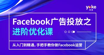 Facebook 在跨境電商中的應(yīng)用實戰(zhàn) 從引流到轉(zhuǎn)化的全平臺運營策略
